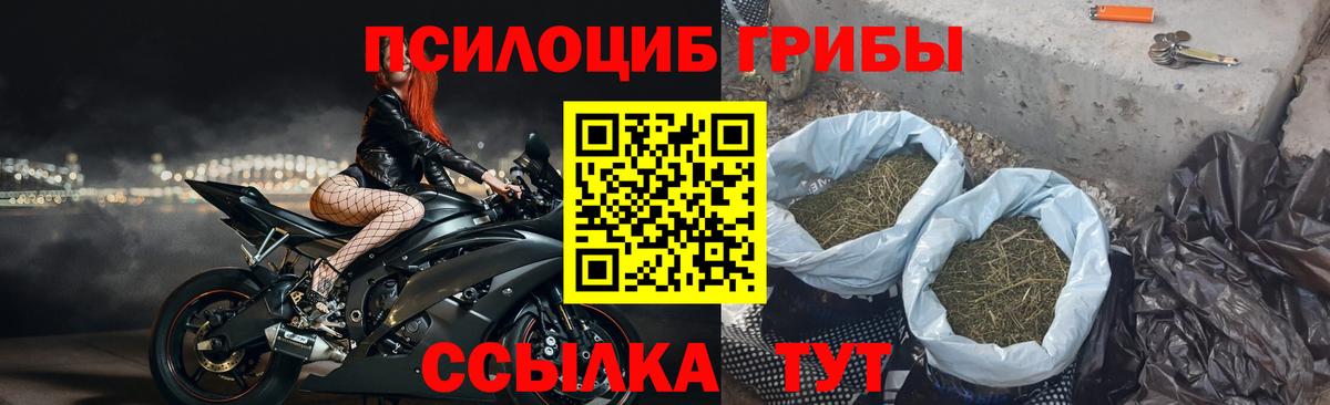 Галлюциногенные грибы ЛСД Переславль-Залесский